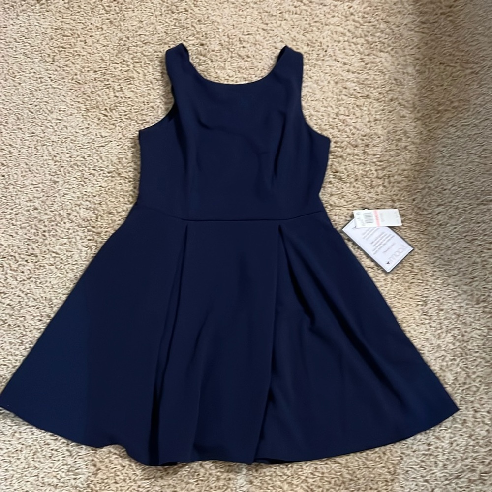 Adorable party dress. Never worn. Junior size 13/14.